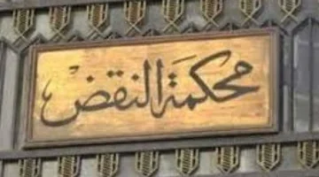 تأجيل قرار.. نقض تدرس طعن فوز قائمة من أجل مصر بغرب الدلتا